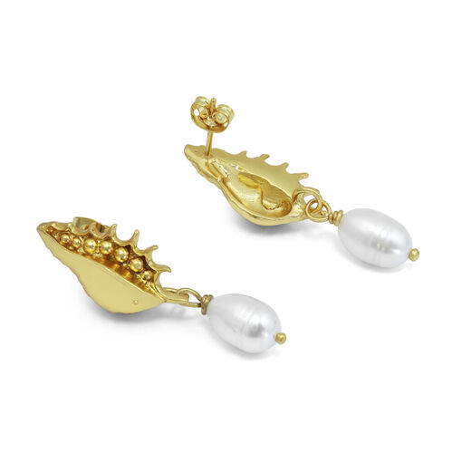 Seashell drop stud earrings by Ottoman Hands